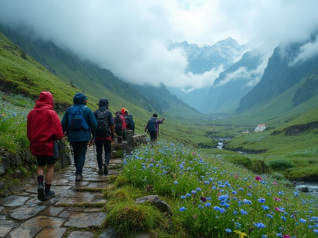 What Is the Prettiest Place in India? Valley of Flowers + Best Alternatives