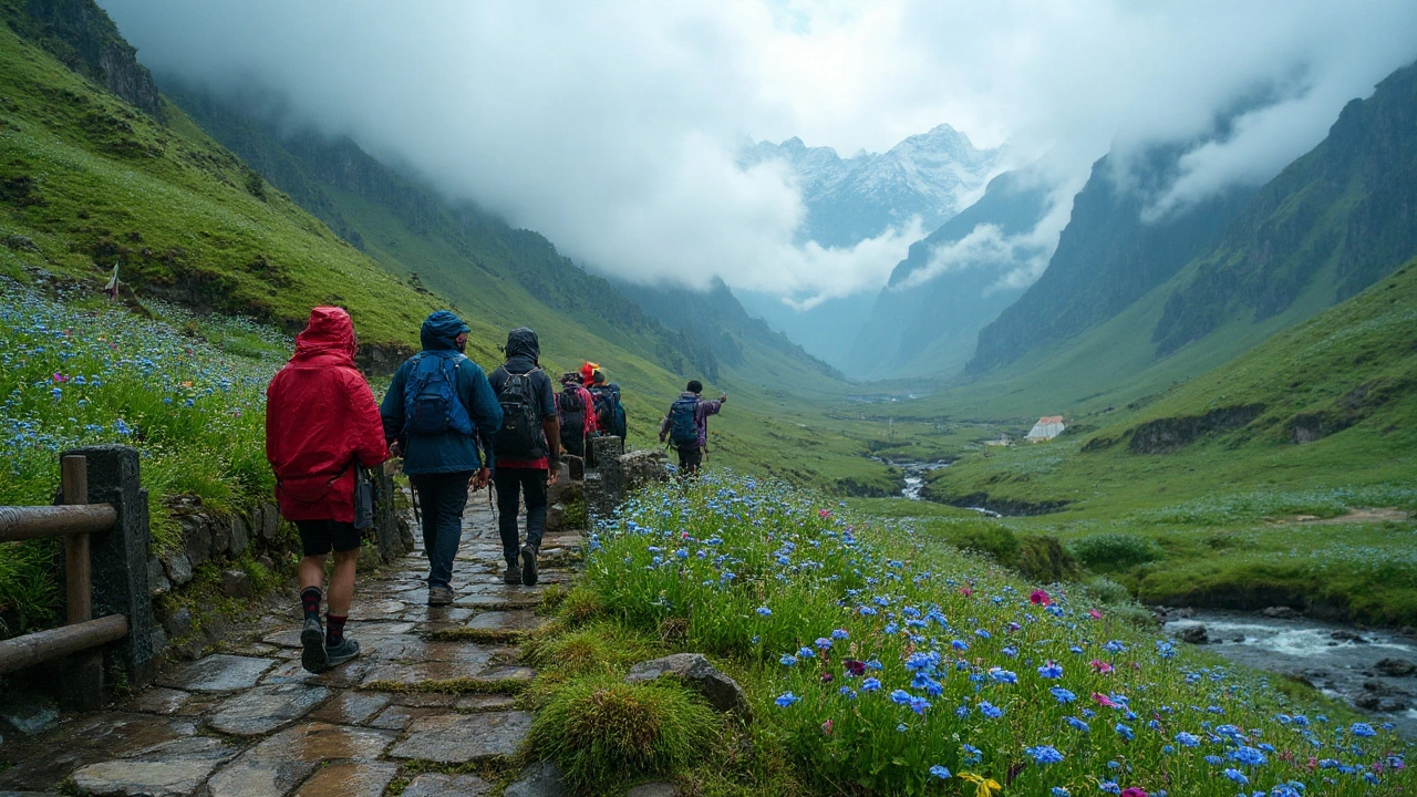 What Is the Prettiest Place in India? Valley of Flowers + Best Alternatives
