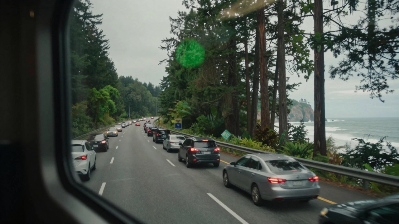 A dual-image contrast of highway traffic blending into a train window view of coastal redwoods.