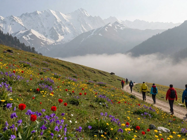 Where Do Most Tourists Go Hiking in India?