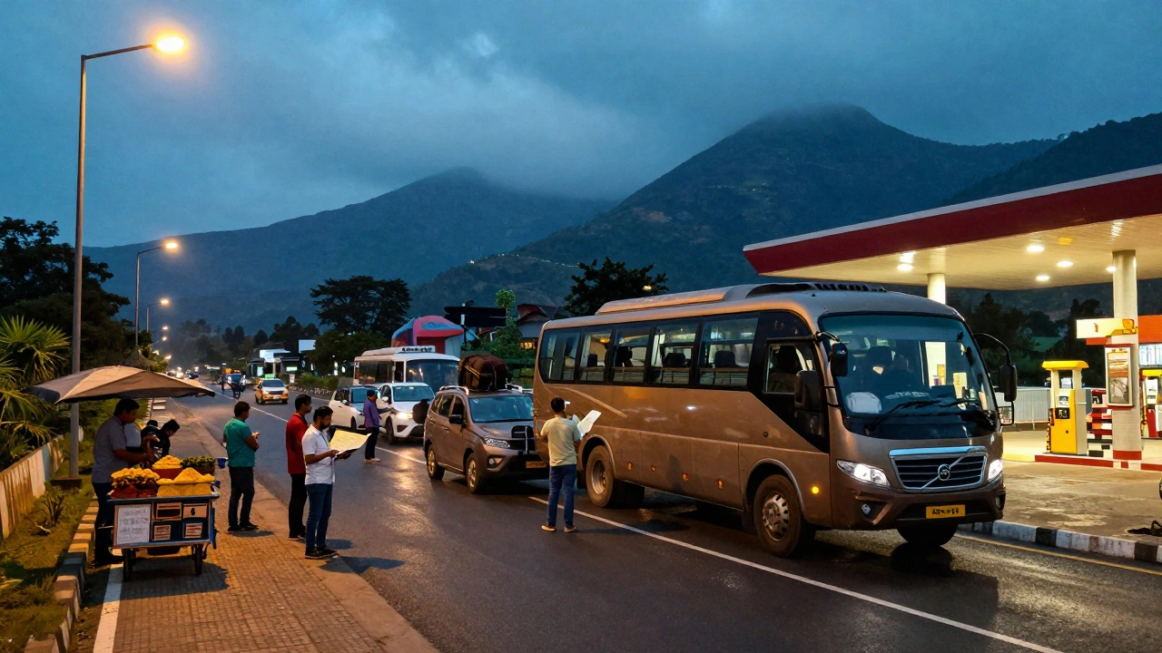 Highway rest stop showing mixed transport modes at dusk