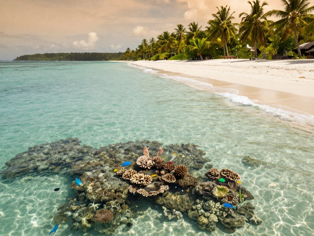 Which Beach in India Has the Clearest Water? Top Picks for Crystal Blue Seas