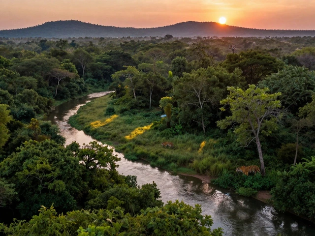 Which State Has the Most Wildlife Sanctuaries in India? 2026 Guide